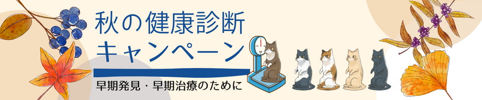 早期発見・早期治療のために 秋の期間限定健康診断セットのお知らせ