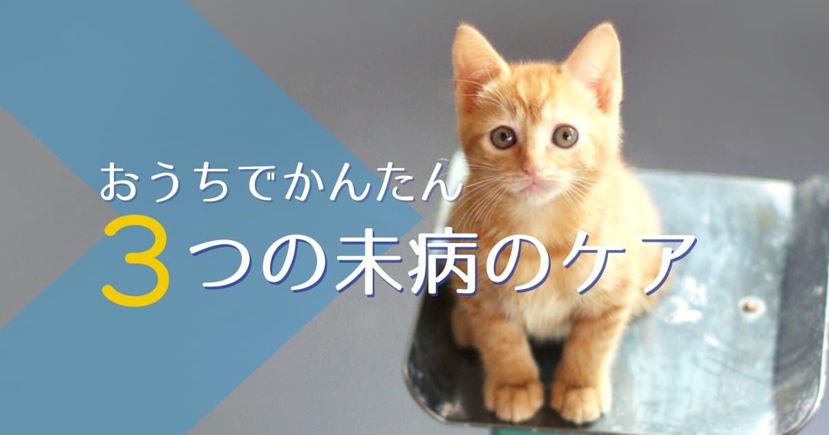 かんたんにできる未病のケア