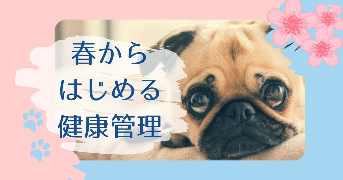 春からはじめる健康管理