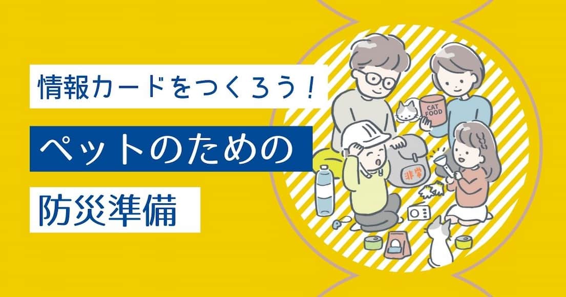 情報カードをつくろう!ペットのための防災準備