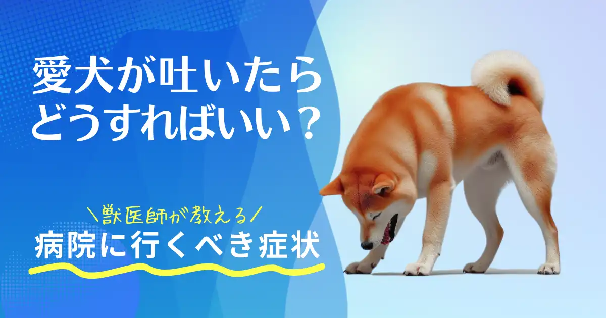 「愛犬が吐いたらどうすればいい?獣医師が教える病院に行くべき症状」と犬の画像